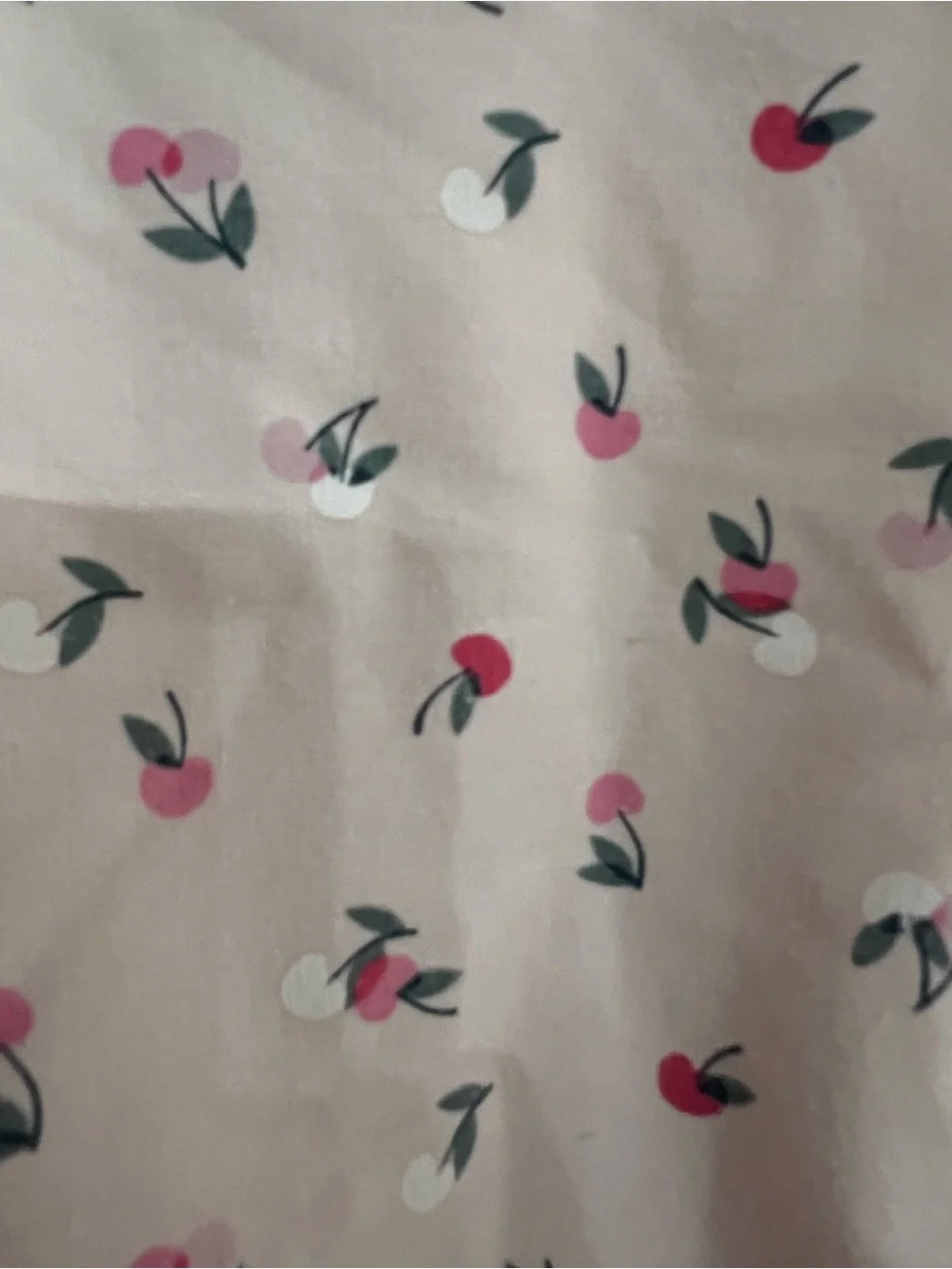 Cynthia Rowley Peach Ruffle Shoulder Floral Sweatshirt